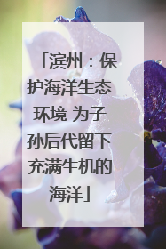 滨州：保护海洋生态环境 为子孙后代留下充满生机的海洋