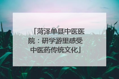 菏泽单县中医医院:研学游里感受中医药传统文化