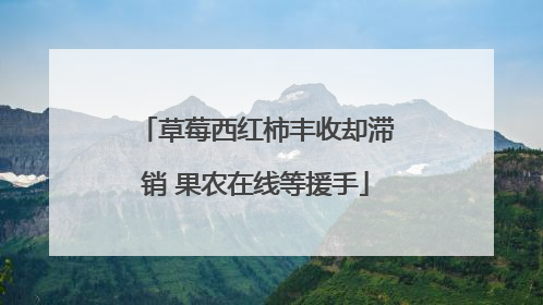 草莓西红柿丰收却滞销 果农在线等援手