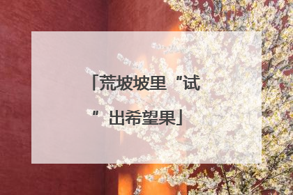 荒坡坡里“试”出希望果