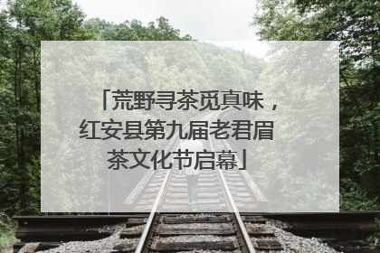 荒野寻茶觅真味，红安县第九届老君眉茶文化节启幕