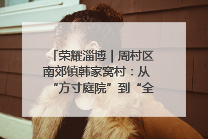 荣耀淄博｜周村区南郊镇韩家窝村：从“方寸庭院”到“全域文明”，乡村振兴的“美学革命”