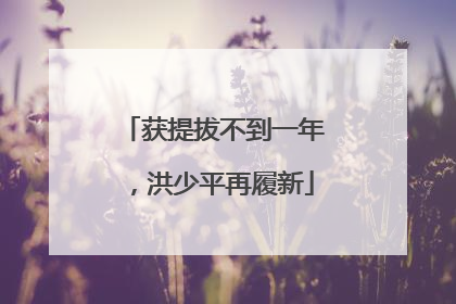 获提拔不到一年，洪少平再履新