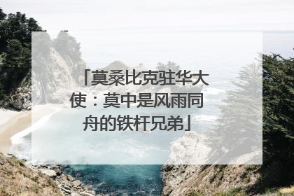 莫桑比克驻华大使：莫中是风雨同舟的铁杆兄弟