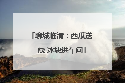 聊城临清：西瓜送一线 冰块进车间