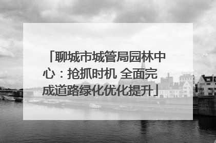 聊城市城管局园林中心：抢抓时机 全面完成道路绿化优化提升