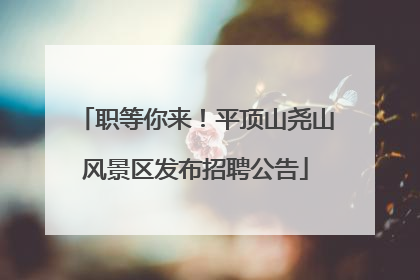 职等你来！平顶山尧山风景区发布招聘公告