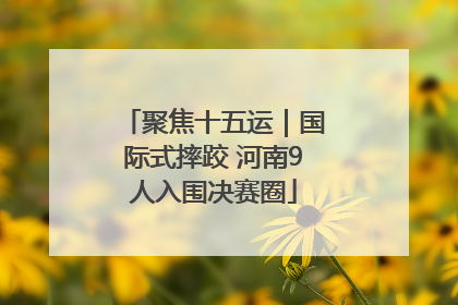 聚焦十五运｜国际式摔跤 河南9人入围决赛圈