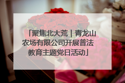 聚焦北大荒｜青龙山农场有限公司开展普法教育主题党日活动