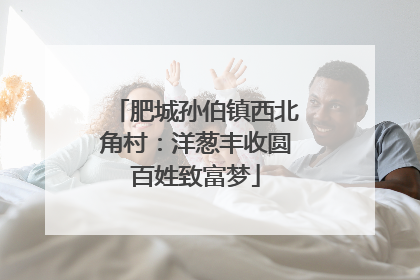 肥城孙伯镇西北角村：洋葱丰收圆百姓致富梦
