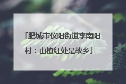 肥城市仪阳街道李南阳村：山楂红处是故乡