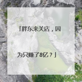 胖东来关店，因为只赚了8亿？