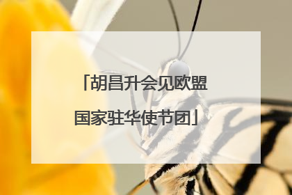 胡昌升会见欧盟国家驻华使节团