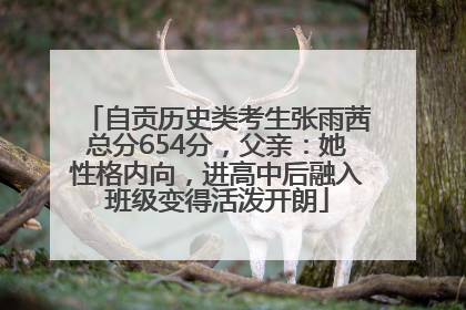 自贡历史类考生张雨茜总分654分，父亲：她性格内向，进高中后融入班级变得活泼开朗