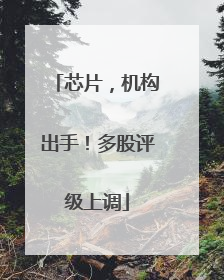 芯片，机构出手！多股评级上调
