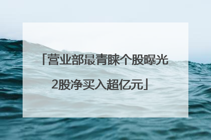 营业部最青睐个股曝光 2股净买入超亿元