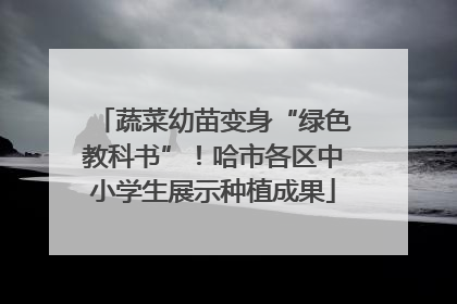 蔬菜幼苗变身“绿色教科书”！哈市各区中小学生展示种植成果