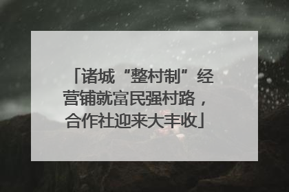 诸城“整村制”经营铺就富民强村路，合作社迎来大丰收