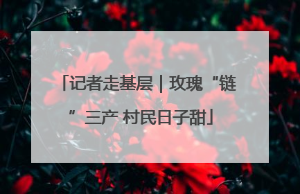 记者走基层｜玫瑰“链”三产 村民日子甜