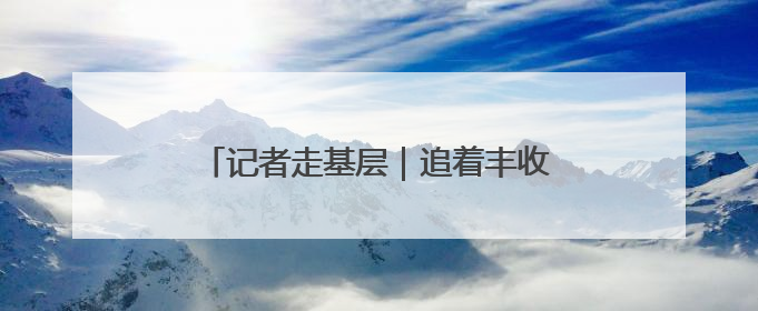 记者走基层｜追着丰收，麦客夫妻一路向北