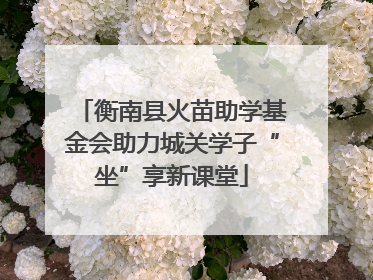 衡南县火苗助学基金会助力城关学子“坐”享新课堂