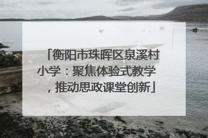 衡阳市珠晖区泉溪村小学：聚焦体验式教学，推动思政课堂创新