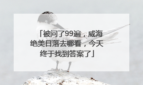 被问了99遍，威海绝美日落去哪看，今天终于找到答案了