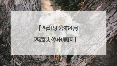 西班牙公布4月西葡大停电原因