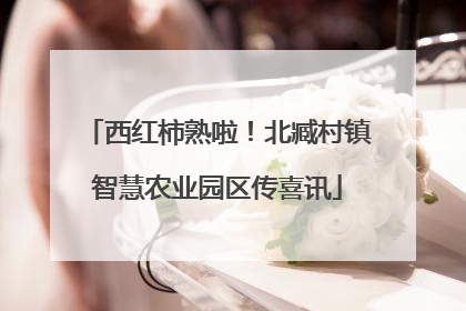 西红柿熟啦！北臧村镇智慧农业园区传喜讯