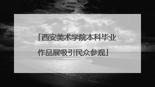 西安美术学院本科毕业作品展吸引民众参观