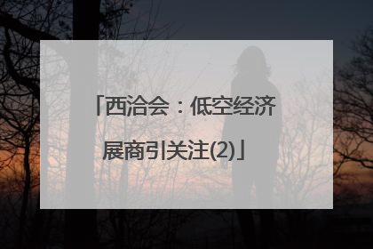 西洽会：低空经济展商引关注(2)