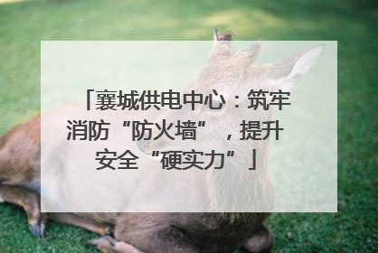 襄城供电中心：筑牢消防“防火墙”，提升安全“硬实力”