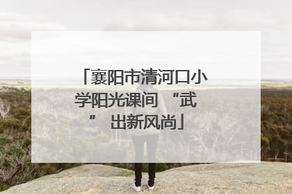 襄阳市清河口小学阳光课间 “武” 出新风尚