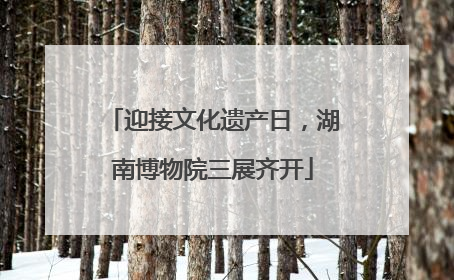 迎接文化遗产日，湖南博物院三展齐开