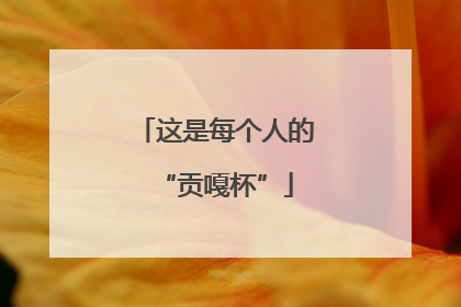 这是每个人的“贡嘎杯”