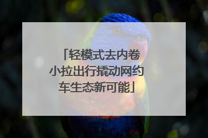轻模式去内卷 小拉出行撬动网约车生态新可能