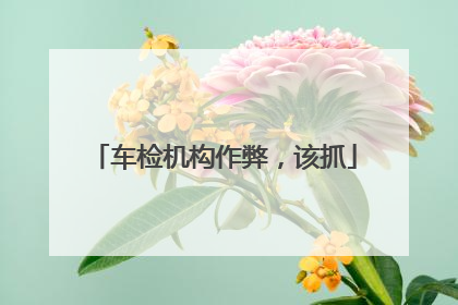 车检机构作弊，该抓