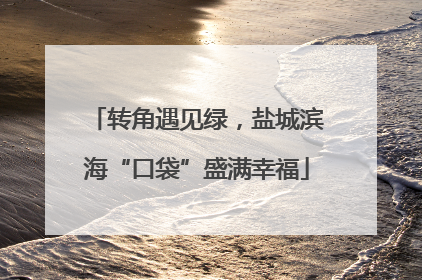 转角遇见绿，盐城滨海“口袋”盛满幸福