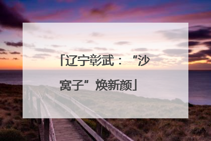 辽宁彰武：“沙窝子”焕新颜