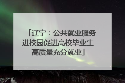 辽宁：公共就业服务进校园促进高校毕业生高质量充分就业