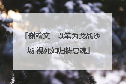 谢翰文：以笔为戈战沙场 视死如归铸忠魂