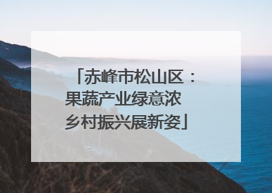 赤峰市松山区：果蔬产业绿意浓 乡村振兴展新姿
