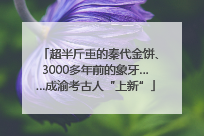 超半斤重的秦代金饼、3000多年前的象牙……成渝考古人“上新”