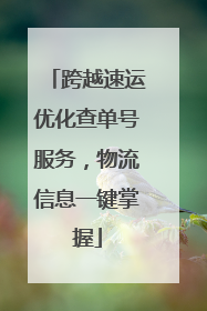 跨越速运优化查单号服务，物流信息一键掌握