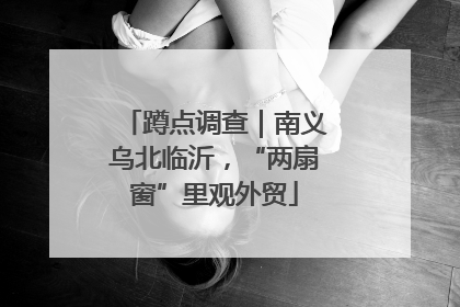 蹲点调查｜南义乌北临沂，“两扇窗”里观外贸