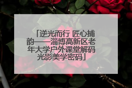 逆光而行 匠心捕韵——淄博高新区老年大学户外课堂解码光影美学密码