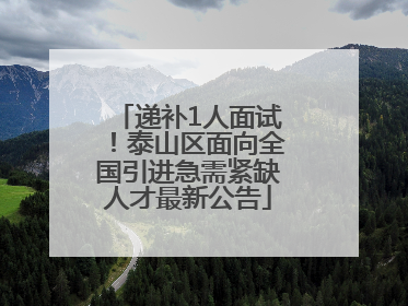 递补1人面试！泰山区面向全国引进急需紧缺人才最新公告