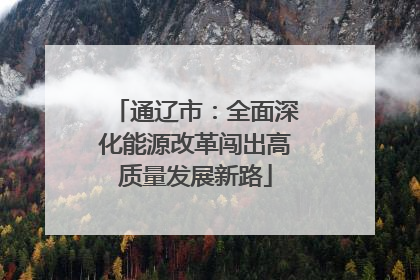 通辽市：全面深化能源改革闯出高质量发展新路