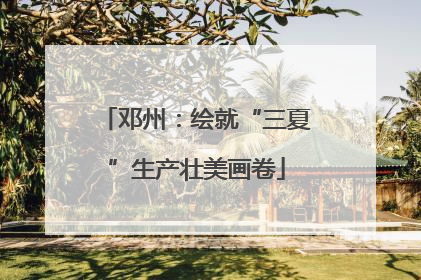 邓州：绘就“三夏”生产壮美画卷