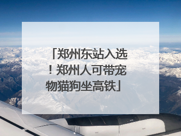 郑州东站入选！郑州人可带宠物猫狗坐高铁